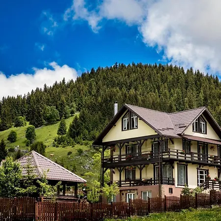 Casa Cerbul Holiday home