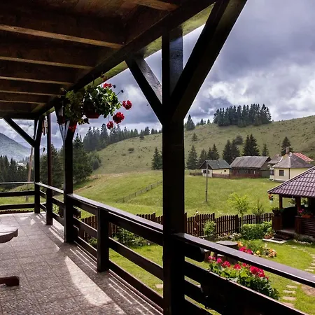 Casa Cerbul *